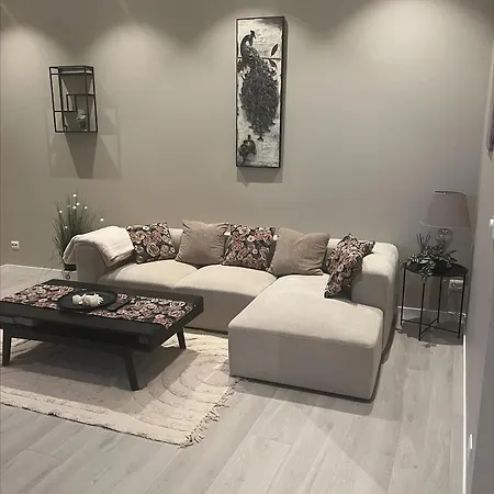 Delikat, Romslig Og Sjonaer Sentrumsleilighet *